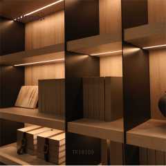 TF18109 嵌入式条灯