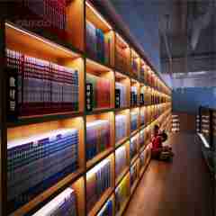 TF18110 斜面嵌入式条灯