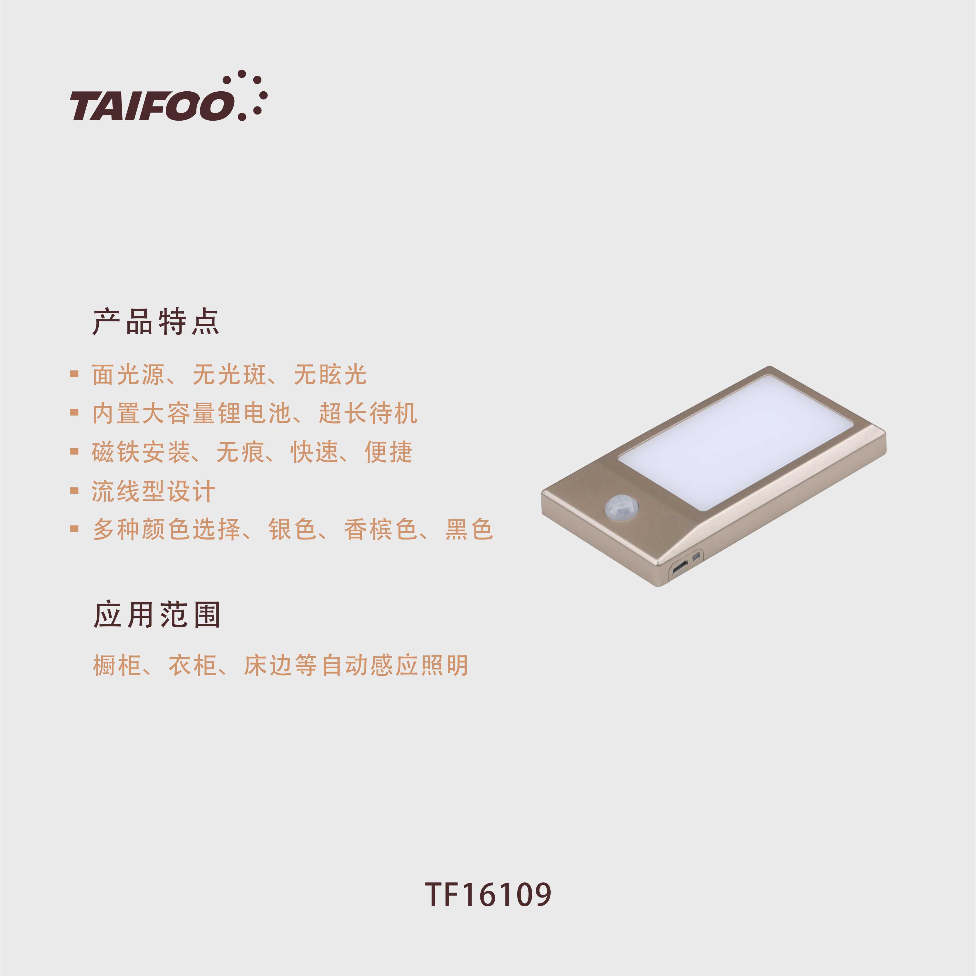 TF16109 人体感应灯