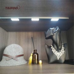 TF19114/5  电池感应灯