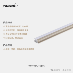 TF17213（后隔板双面发光灯）