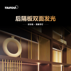 TF17213（后隔板双面发光灯）