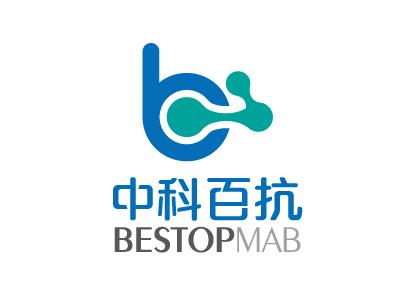 Taq DNA Polymerase