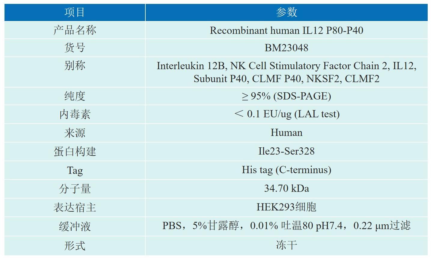 Recombinant human IL12 P80-P40产品介绍