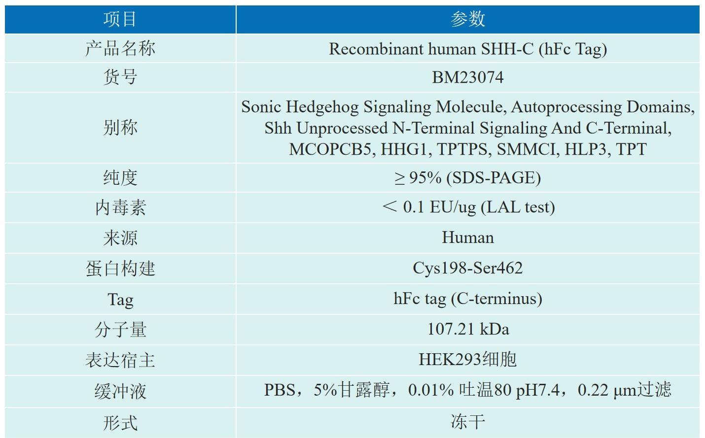 Recombinant human SHH-C产品信息