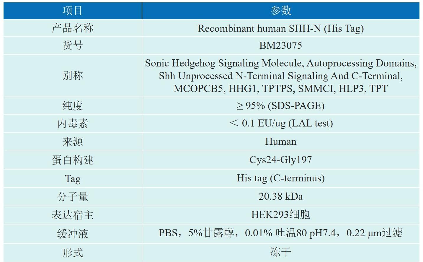 Recombinant human SHH-N (His Tag)产品信息