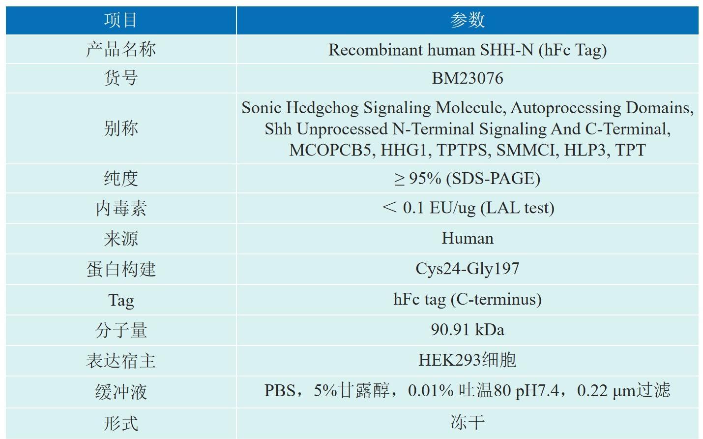 Recombinant human SHH-N产品介绍