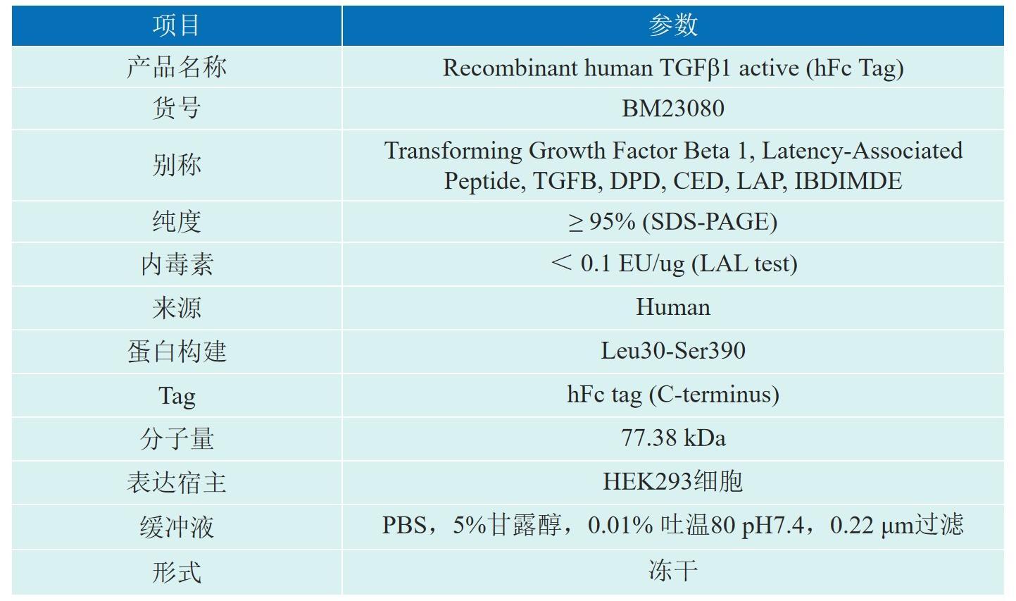 Recombinant human TGFβ1 active 产品介绍