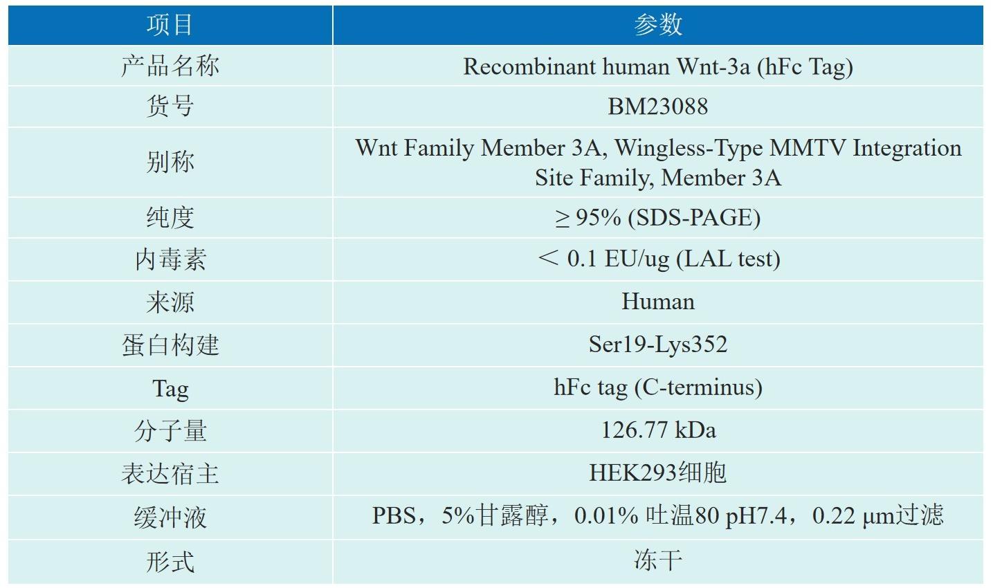 Recombinant human Wnt-3a (hFc Tag)产品信息