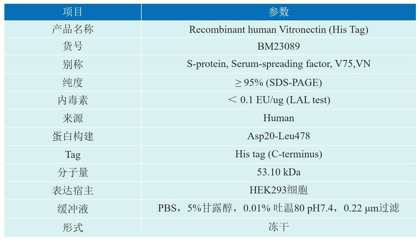 Recombinant human Vitronectin (hFc Tag)产品信息