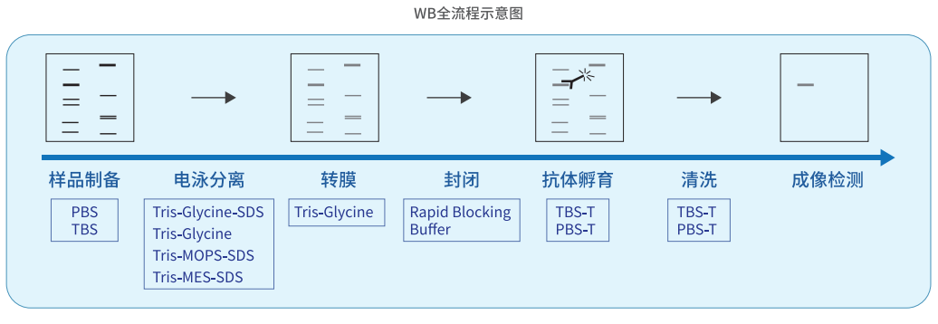 WB流程示意图