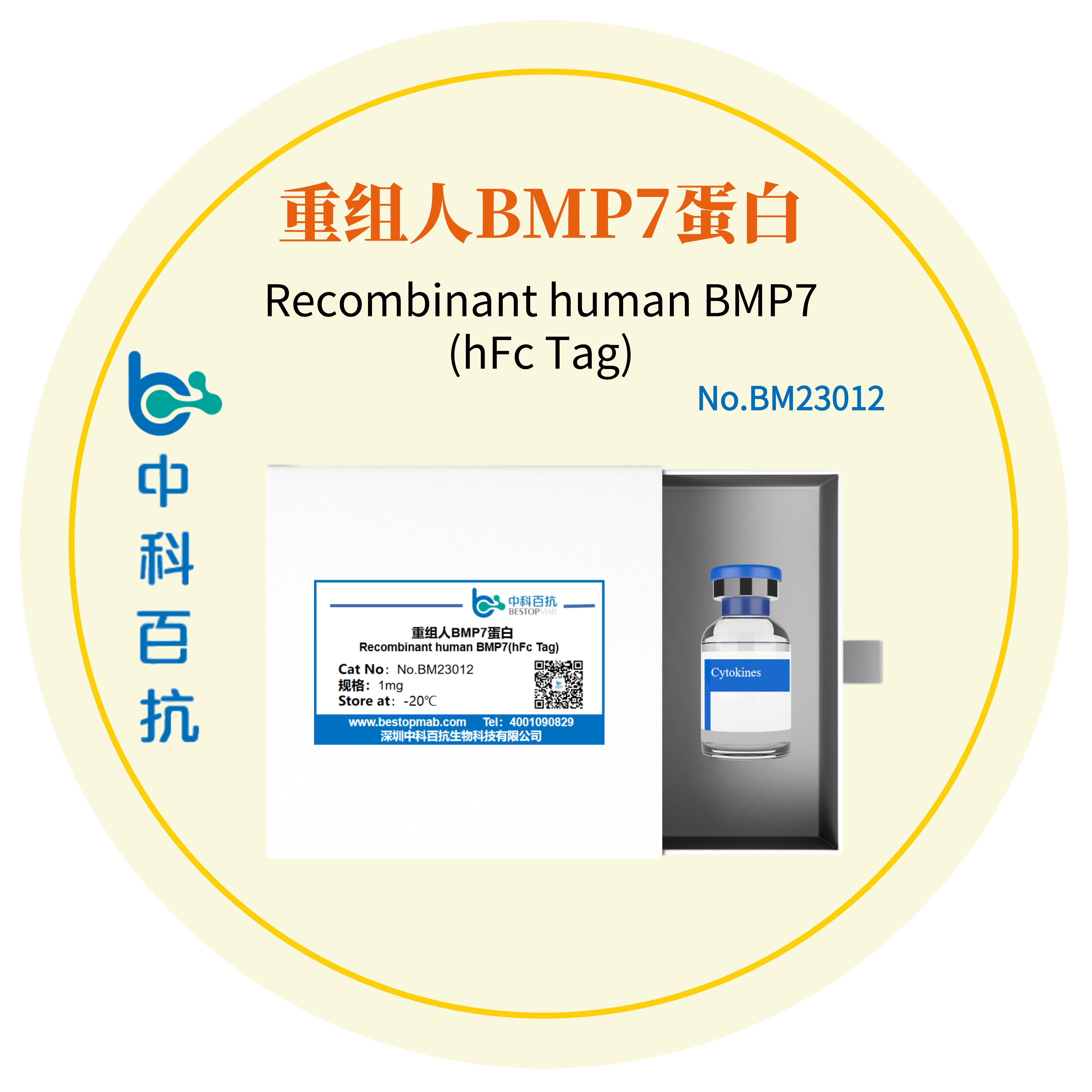 Recombinant human BMP7(hFc Tag)