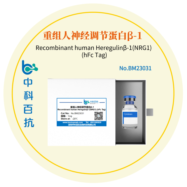 Recombinant human Heregulinβ-1(NRG1) (hFc Tag)