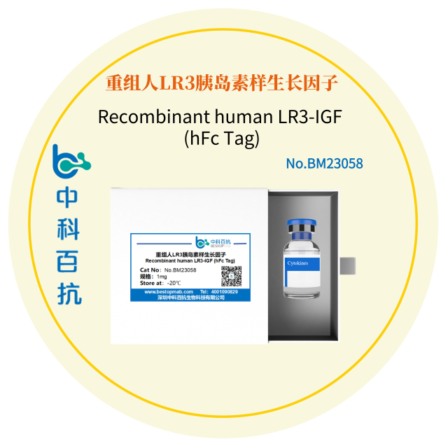 Recombinant human LR3-IGF (hFc Tag)