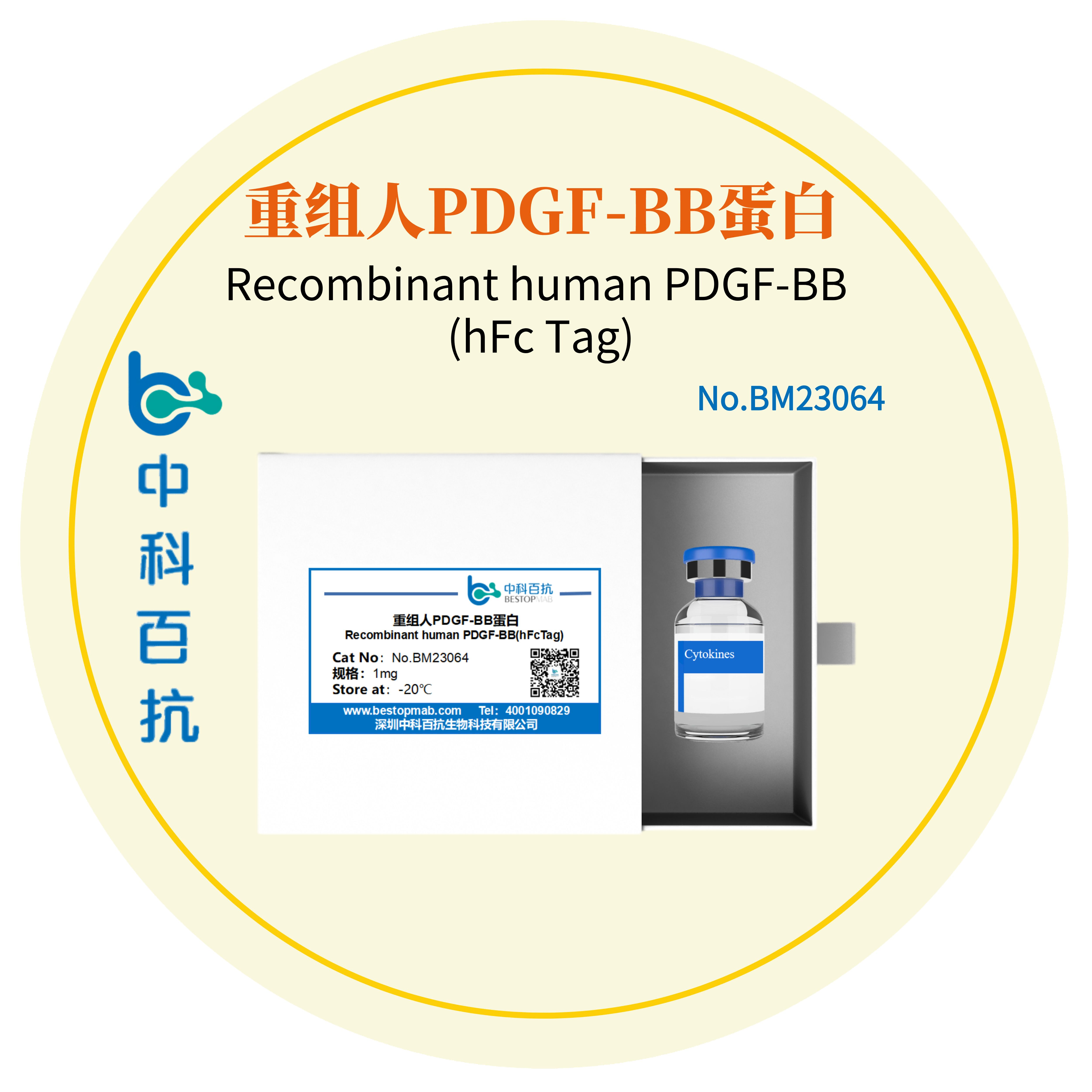 Recombinant human PDGF-BB (hFc Tag)