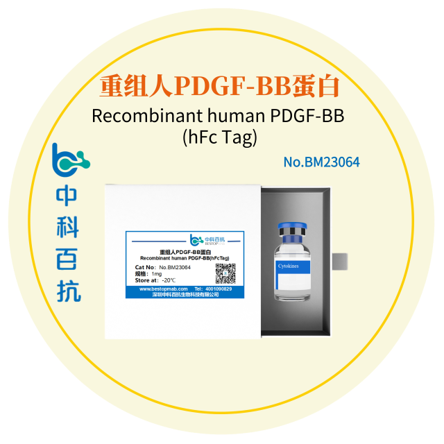 Recombinant human PDGF-BB (hFc Tag)