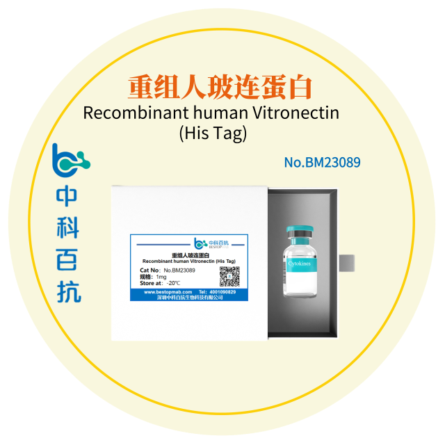 重组人玻连蛋白Recombinant human Vitronectin (His Tag)