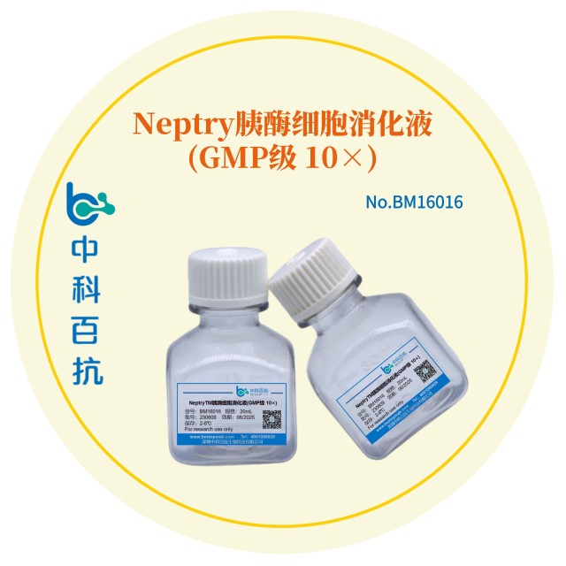 Neptry胰酶细胞消化液(GMP级 10×)