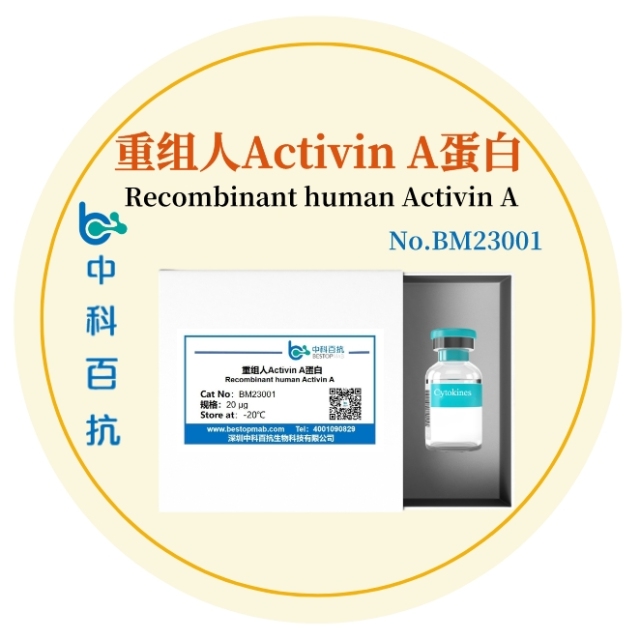 重组人Activin A蛋白Recombinant human Activin A