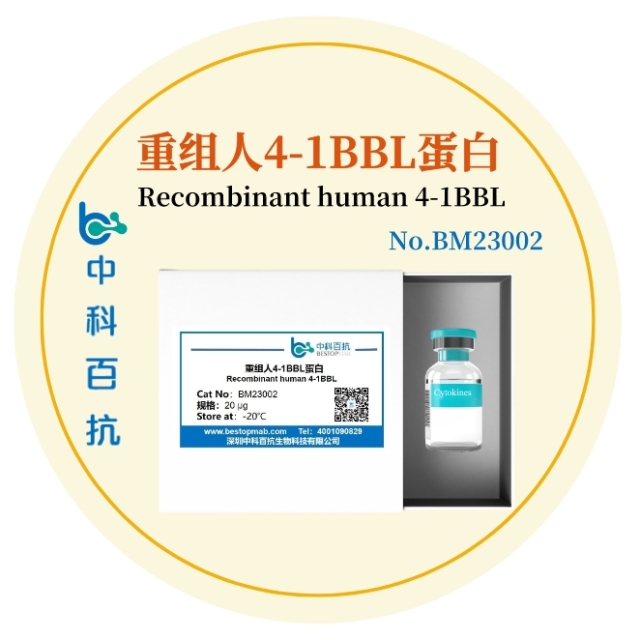 重组人4-1BBL蛋白Recombinant human 4-1BBL