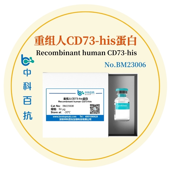 重组人CD73-his蛋白Recombinant human CD73-his