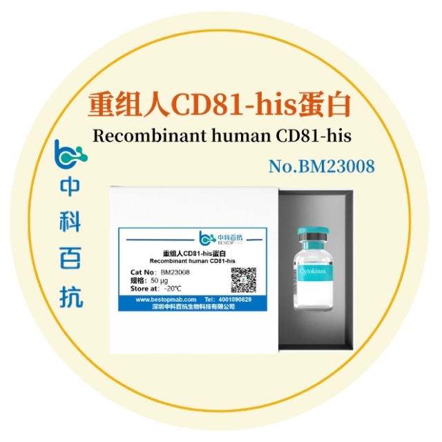 重组人CD81-his蛋白Recombinant human CD81-his