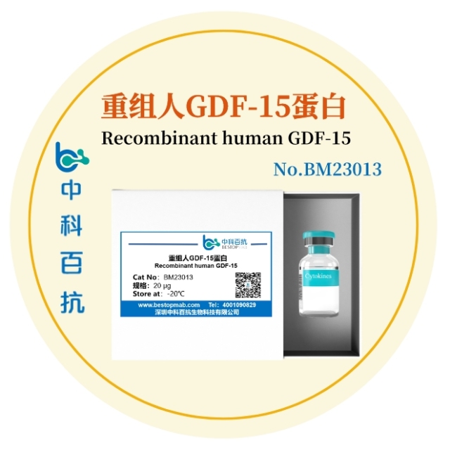 重组人GDF15蛋白Recombinant human GDF15