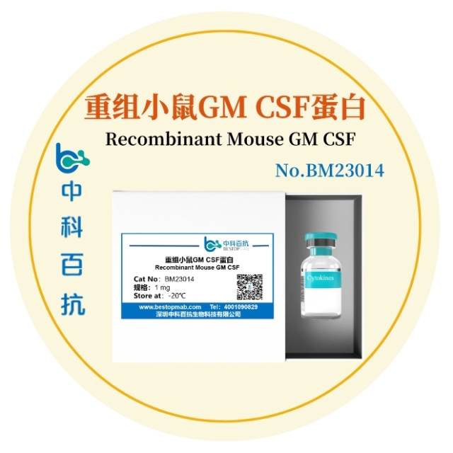 重组小鼠GM CSF蛋白Recombinant Mouse GM CSF