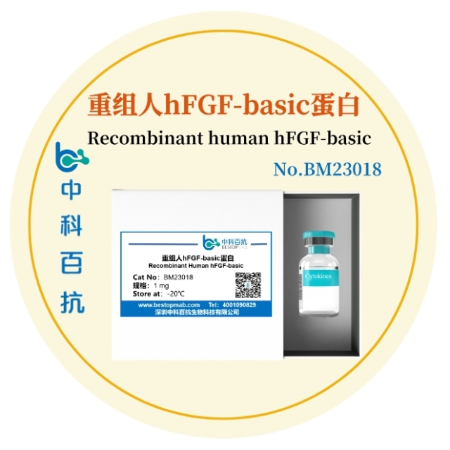 重组人hFGF-basic蛋白Recombinant human hFGF-basic