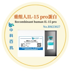 重组人IL-15 pro蛋白Recombinant human IL-15 pro