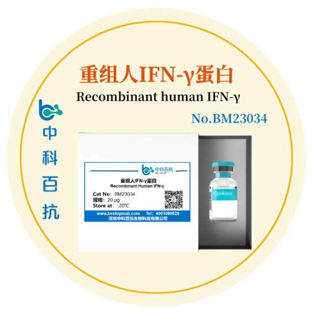 重组人IFN-γ蛋白Recombinant Human IFN-γ