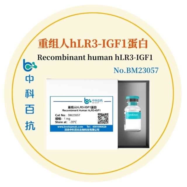 重组人hLR3-IGF1蛋白Recombinant human hLR3-IGF1