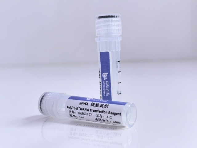 PolyTool™ siRNA Transfection Reagent