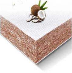 [三明治]功能棕