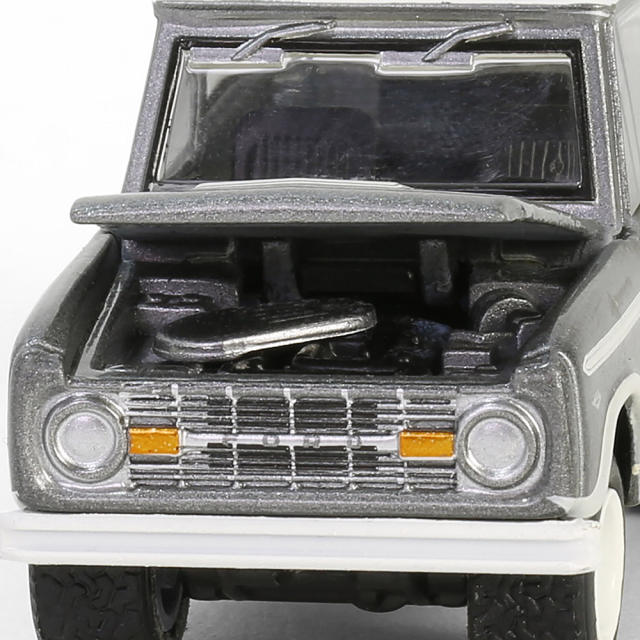 Bronco