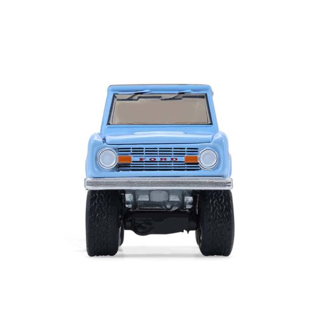 Bronco Custom