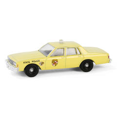 Hot Pursuit Series 45