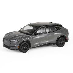 Mustang Mach-E California Route 1