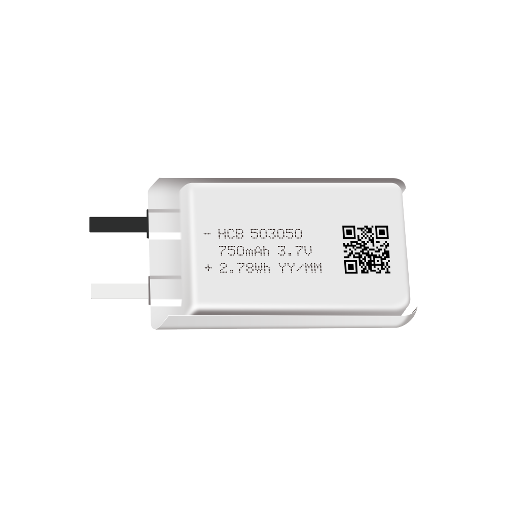 HCB Li-Polymer Battery