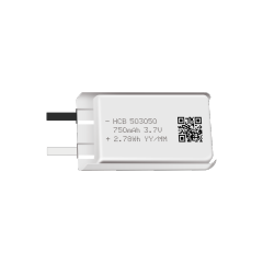 HCB Li-Polymer Battery