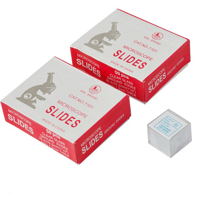 显微镜玻片标本的制作方法