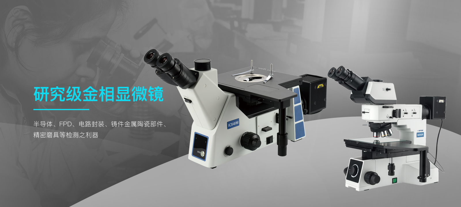 金相电子显微镜