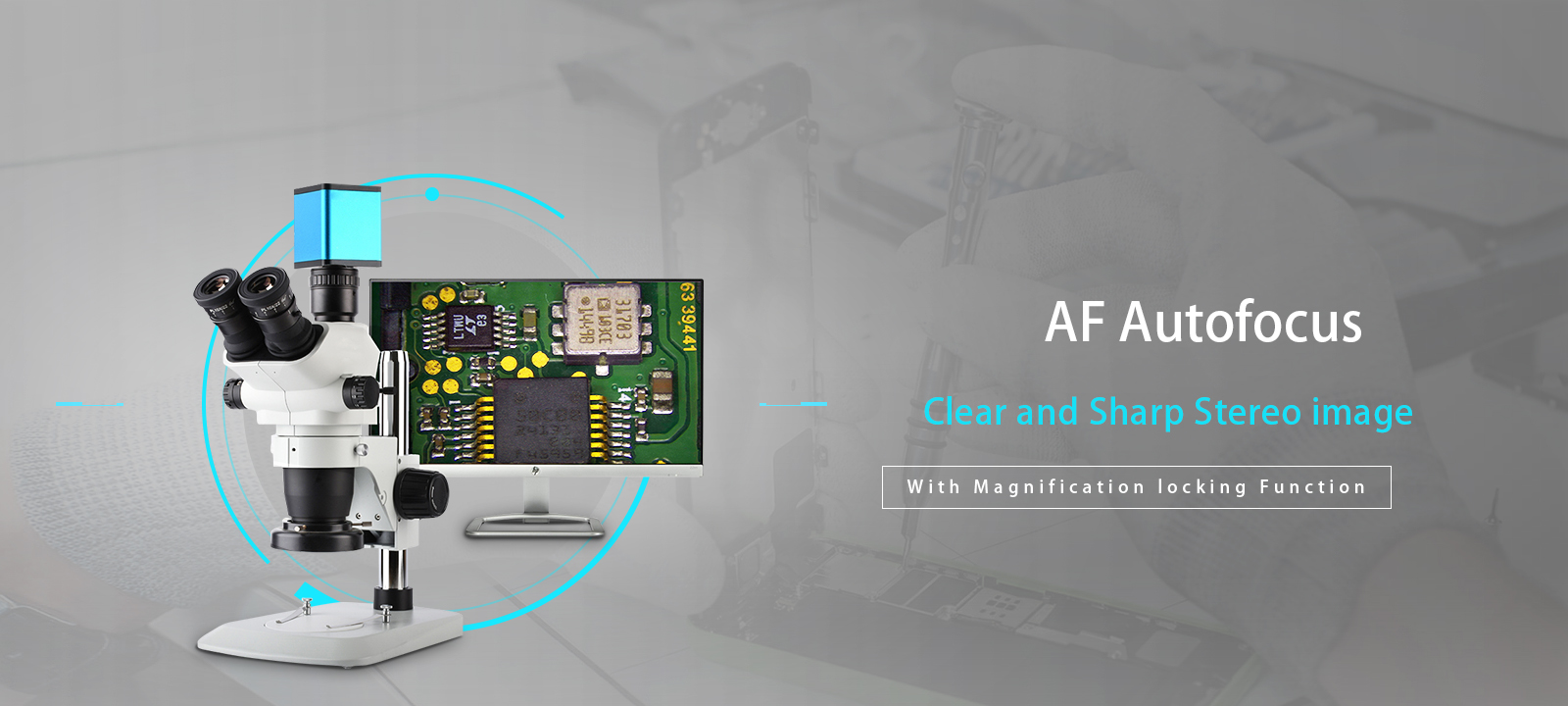 Autofocus microscope