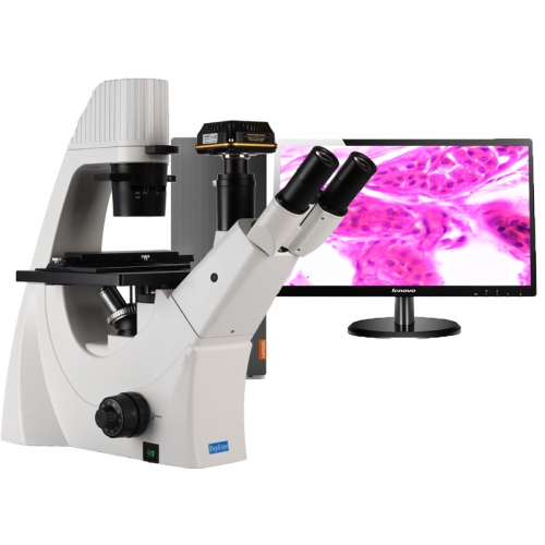 SWG-XD300 inverted phase contrast biomicroscope 100x-400x