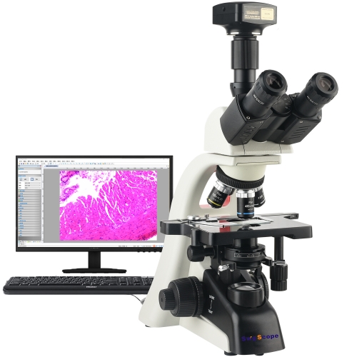 40X-1600X Trinocular Compound Lab Microscope 25 Million Pixels USB3.0 Camera